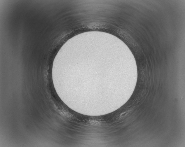 X0000075370592200610061815