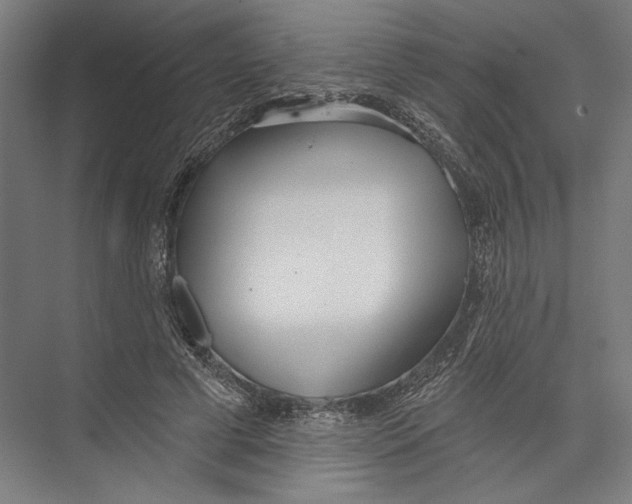 X0000075370593200610061815