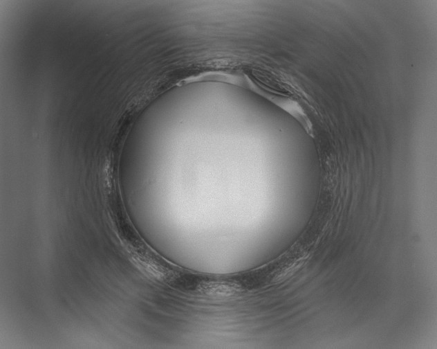 X0000075370597200610061815