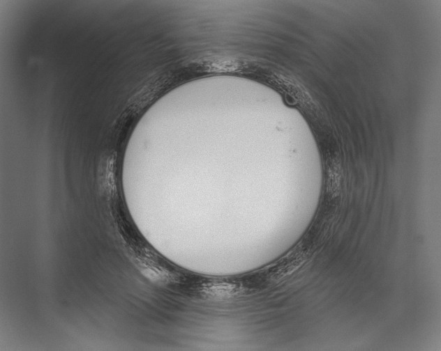 X0000075370598200610061815