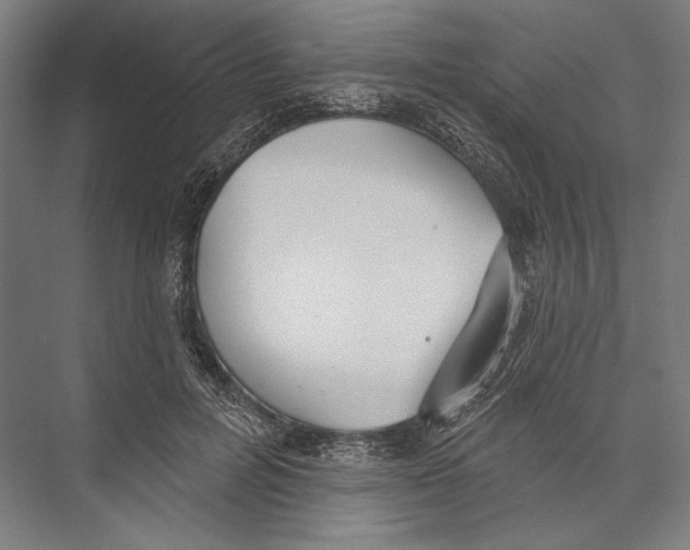 X0000075370600200610061815