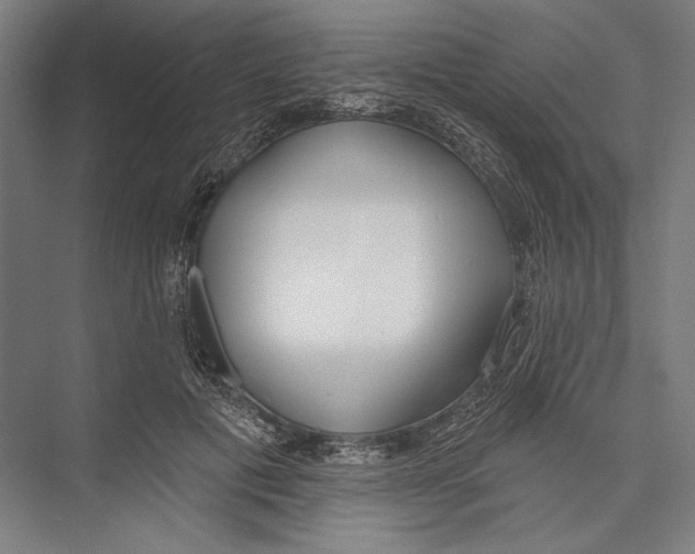 X0000075370601200610061815