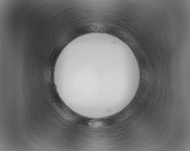 X0000075370602200610061815