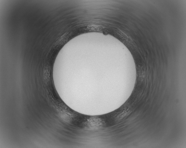X0000075370603200610061815