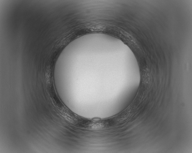 X0000075370604200610061815