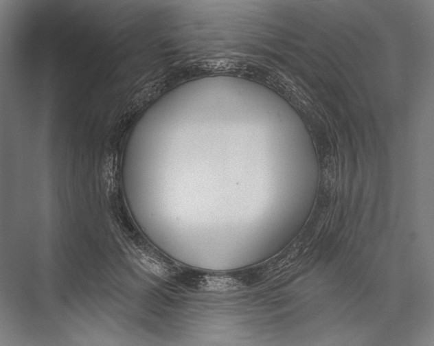 X0000075370605200610061814