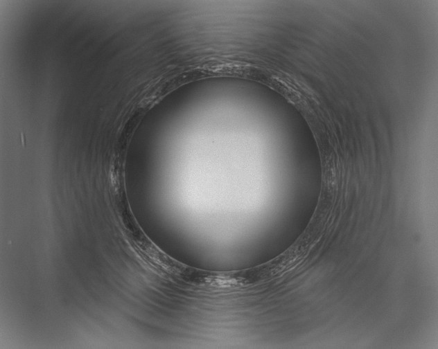 X0000075370607200610061814