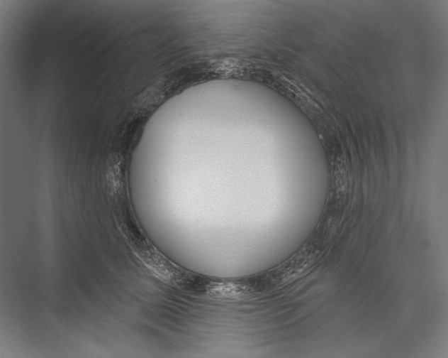 X0000075370611200610061814