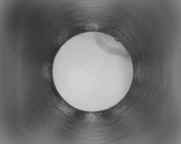 X0000075370616200610061814