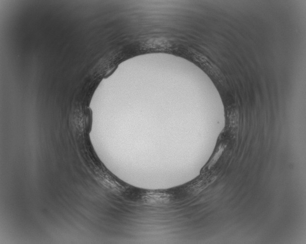 X0000075370617200610061814