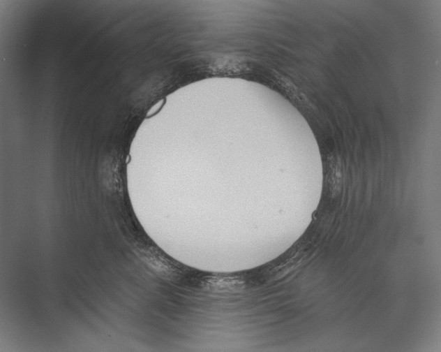 X0000075370619200610061814