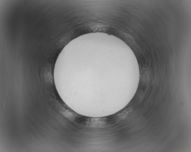 X0000075370622200610061814