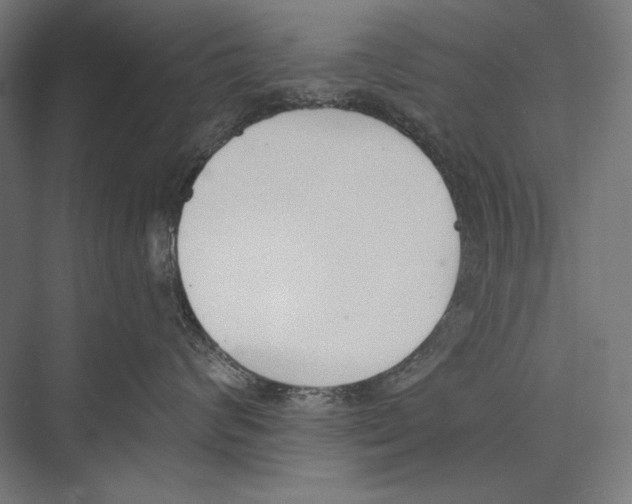 X0000075370624200610061814