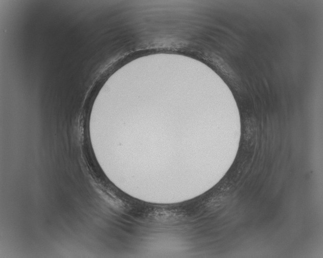 X0000075370632200610061813