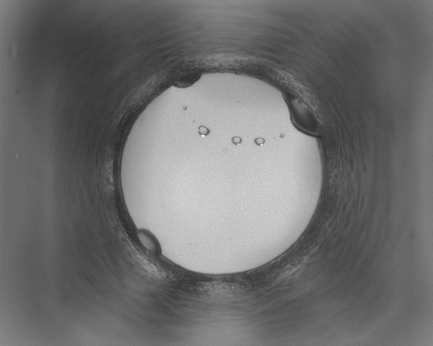 X0000075370633200610061813