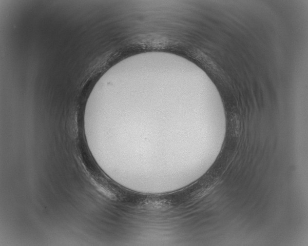 X0000075370638200610061814