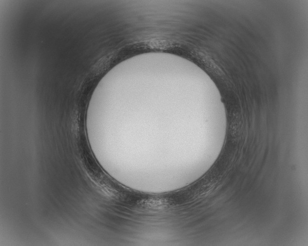 X0000075370639200610061814