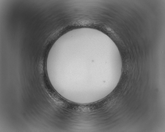 X0000075370640200610061814