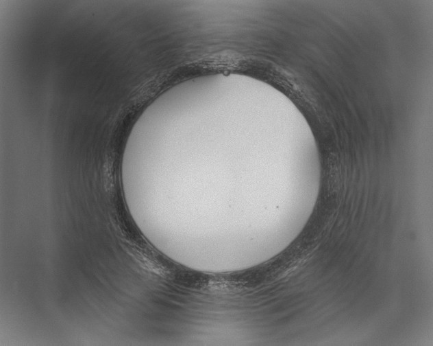 X0000075370641200610061814