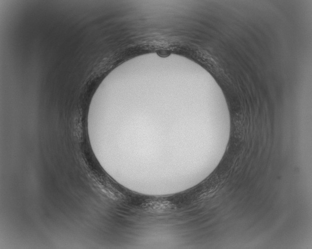 X0000075370642200610061814