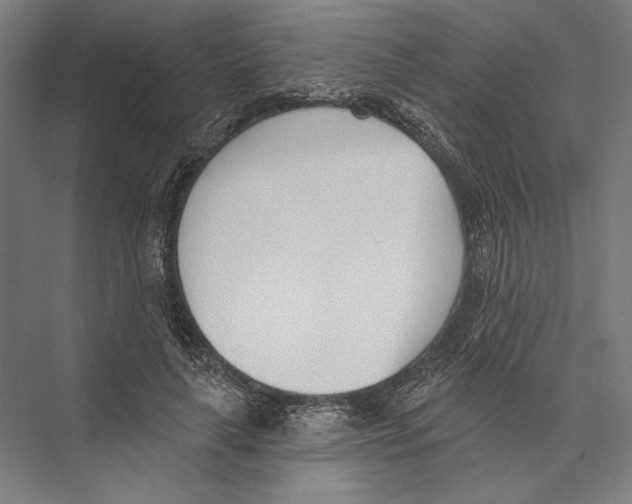 X0000075370643200610061814