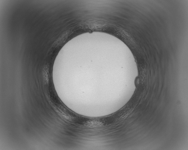 X0000075370644200610061814