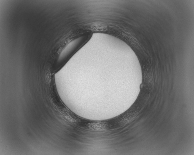 X0000075370652200610061814
