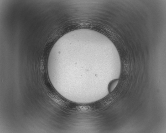 X0000075370654200610061814