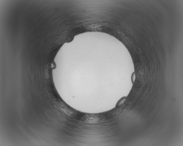 X0000075370658200610061814