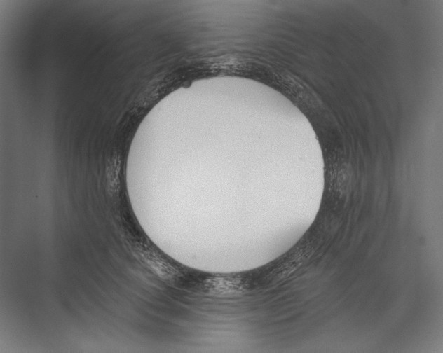 X0000075370660200610061814