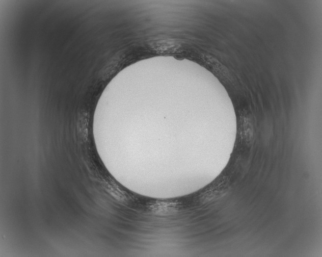 X0000075370664200610061814
