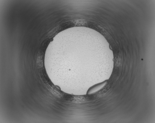 X0000075370666200610061814