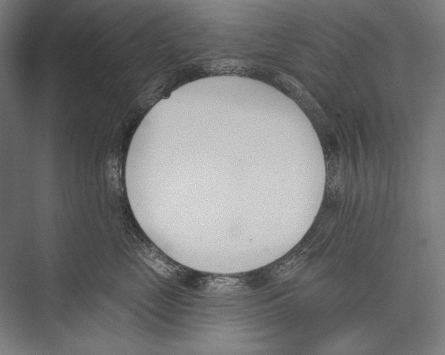 X0000075370669200610061814
