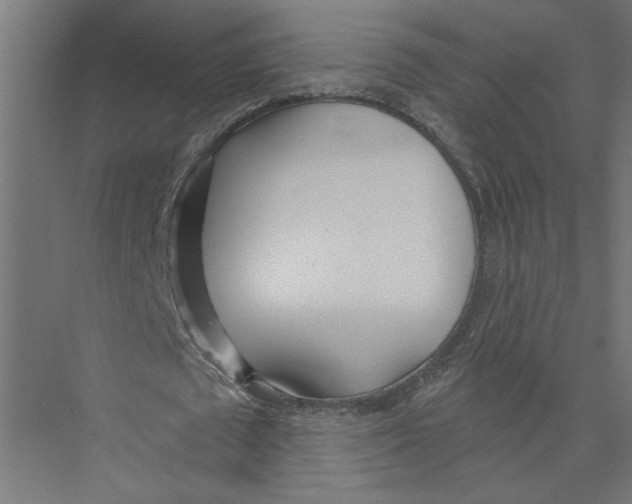 X0000075370673200610061813
