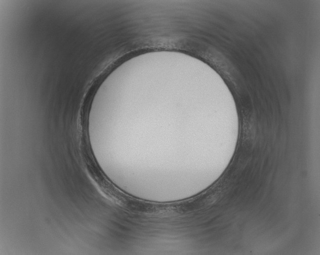 X0000075370674200610061813