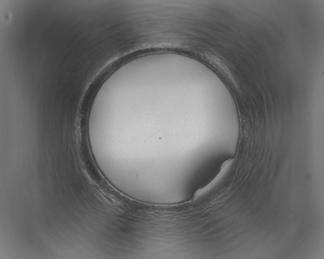 X0000075370676200610061813