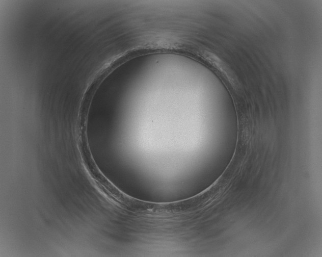 X0000075370677200610061813