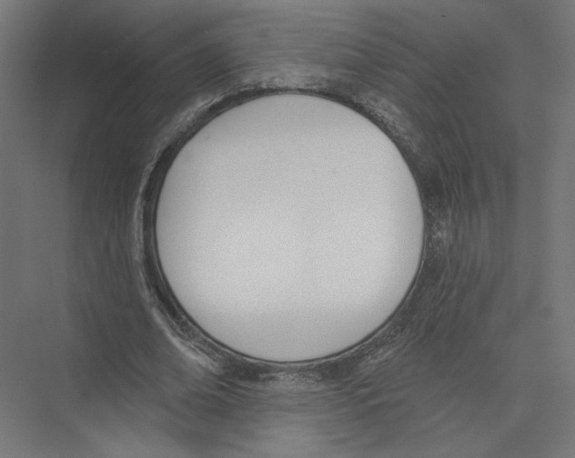 X0000075370678200610061813
