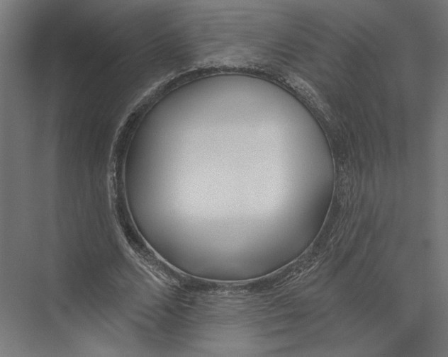 X0000075370680200610061813