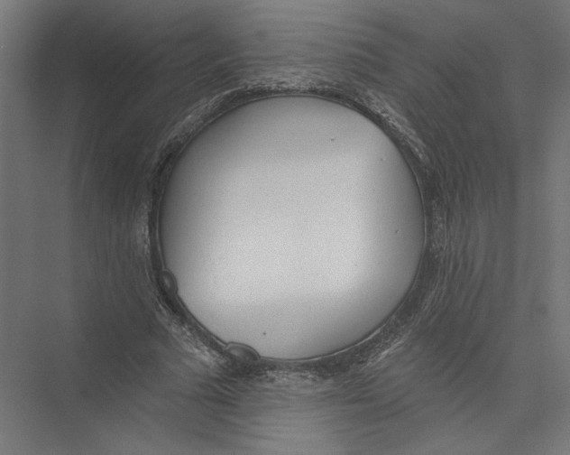 X0000075370681200610061813