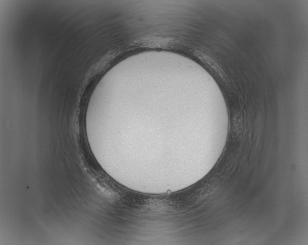 X0000075370682200610061813