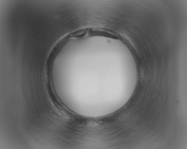 X0000075370684200610061813