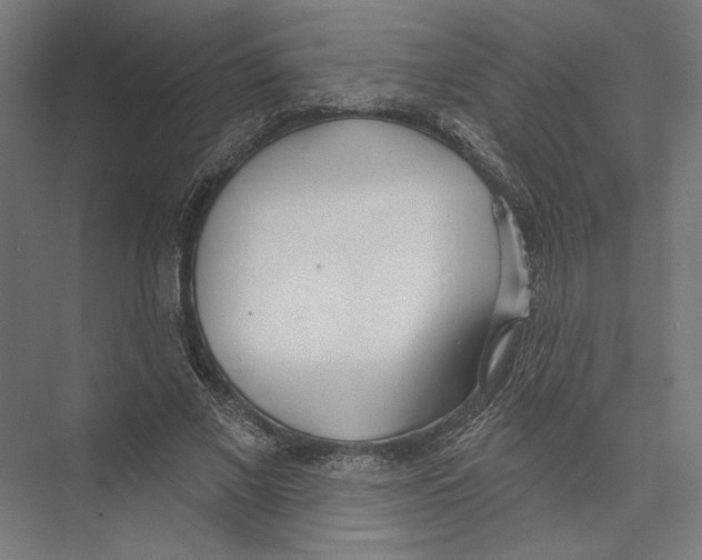 X0000075370685200610061813