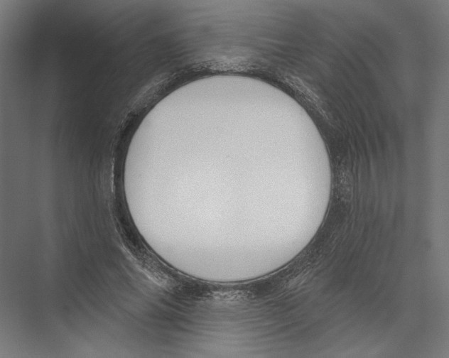 X0000075370686200610061813