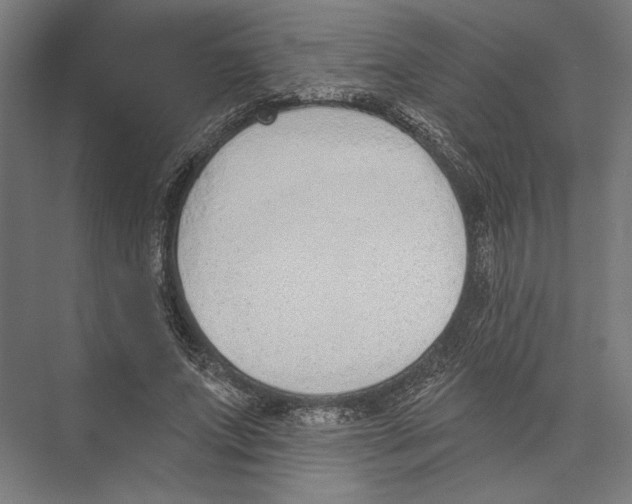 X0000075370687200610061813