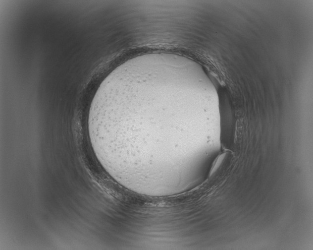X0000075370688200610061813