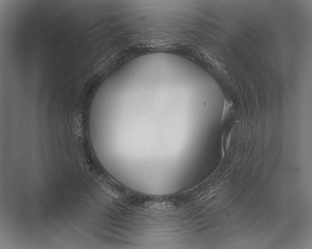 X0000075370689200610061813