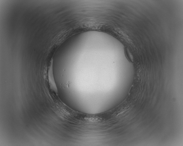 X0000075370693200610061813