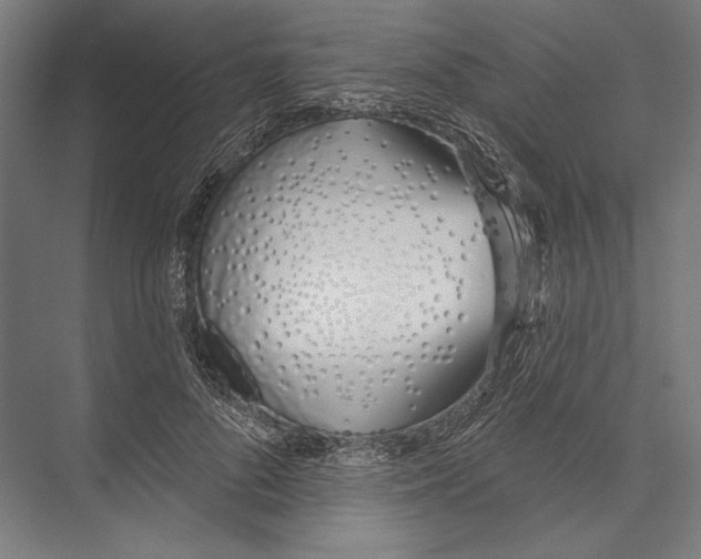X0000075370696200610061813