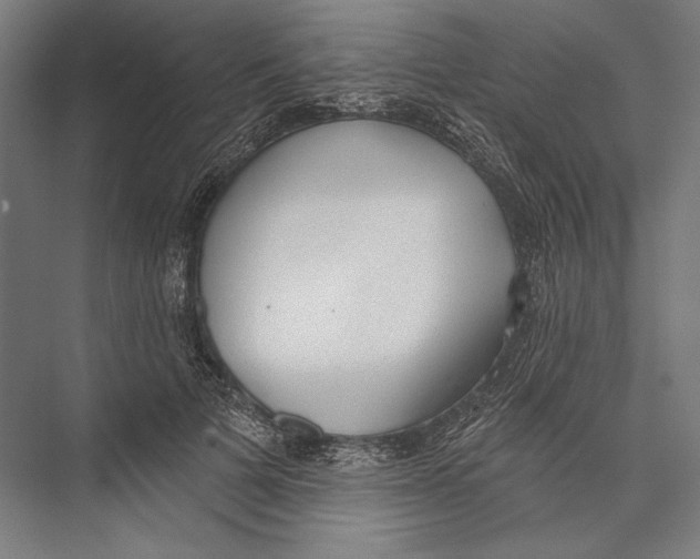 X0000075370697200610061813